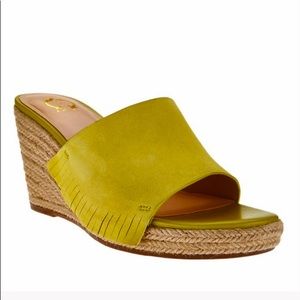 C. Wonder Freida Fringe Suede Wedge Espadrilles